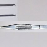 Cambrian Prokera Forceps